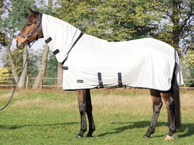 Produktbild von BUSSE Paddock-Fliegendecke Superb Grau (Anthrazit) 155_Plus