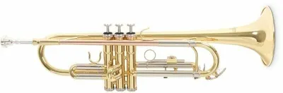 Produktbild von Roy Benson TR-202 Bb Trompete