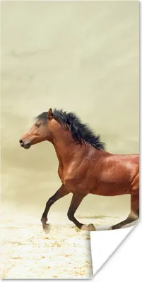Produktbild von MuchoWow® Poster Pferd - Stoff - Sand 20x40 cm - Plakat - Foto
