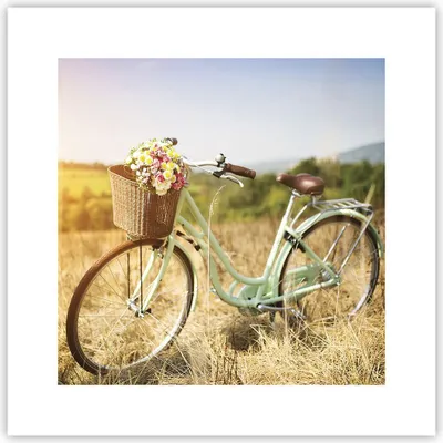 Produktbild von Poster - Poster ohne Rahmen - Fahrrad Wiese Blumen - 30x30 cm - Wand Bild - Wanddeko - Wandbilder - Kunstposter - Wandposter - Bilder - Kunstdruck - Wanddekoration - Wandbild - P2XAC30x30-4206