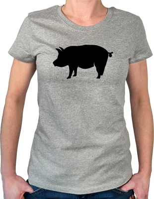 Produktbild von Huuraa Damen T-Shirt Schwein Silhouette L Sport Grey Bio Baumwolle Fairtrade Damenshirt Geschenkidee