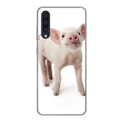 Produktbild von MuchoWow® Handyhülle Schutzhülle Hülle für Samsung Galaxy A30s Schwein - Tiere - Weiß Silikon Softcase Handy Hülle - Karteninhaber