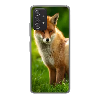 Produktbild von MuchoWow® Handyhülle Schutzhülle Hülle für Samsung Galaxy A33 5G Fuchs - Licht - Gras Silikon Softcase Handy Hülle - Kartenhalter