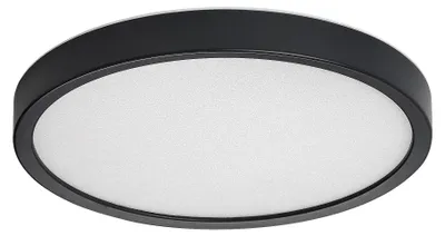 Image de Rabalux - Plafonnier LED anthracite Maurec, diamètre 290 mm, 18W, indice de protection IP44, température de couleur réglable (CCT) - Référence : 75081
