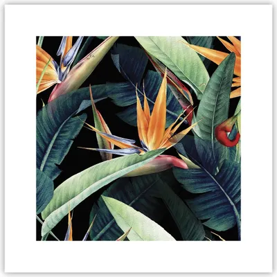 Produktbild von Poster - Poster ohne Rahmen - Pflanze Tropisch Blume - 30x30 cm - Wand Bild - Wanddeko - Wandbilder - Kunstposter - Wandposter - Bilder - Kunstdruck - Wanddekoration - Wandbild - P2XAC30x30-5093