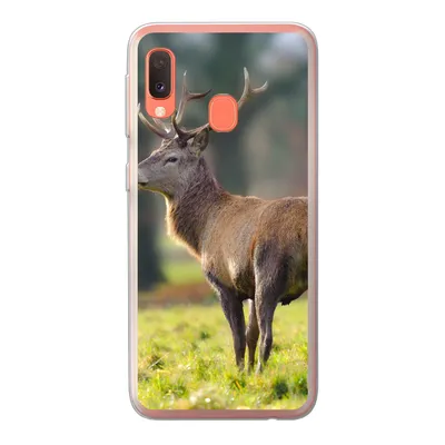 Produktbild von MuchoWow® Handyhülle Schutzhülle Hülle für Samsung Galaxy A20e Rothirsch - Wiese - Grün Silikon Softcase Handy Hülle - Abdeckung