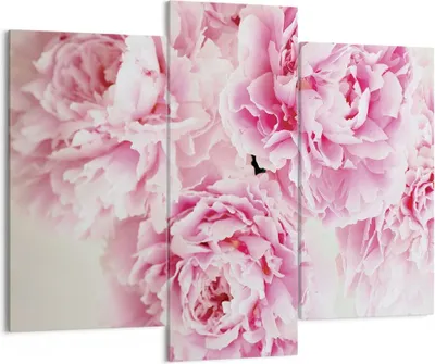 Produktbild von Bild auf Leinwand - Leinwandbild - 3 Teile - Pfingstrosen Blumenstrauß Blumen - 130x100cm - Wand Bild - Wanddeko - Wandbilder - Leinwanddruck - Bilder - Wanddekoration - Leinwand bilder CB130x100-4961