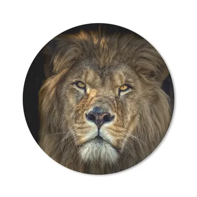 Produktbild von MuchoWow® Mauspad Mousepad Schwarz - Löwe - Wilde Tiere 20x20 cm - Mousepads - Maus Mat - Pad - Mausunterlage - Schreibtischmatte