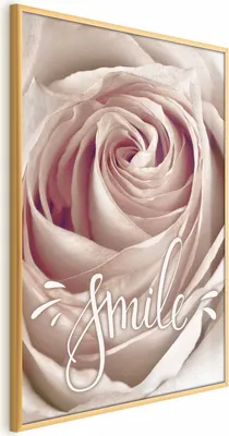 Produktbild von Posterpapier Poster - Smile! 40x60 cm Blumen m-C-0303-ao-a
