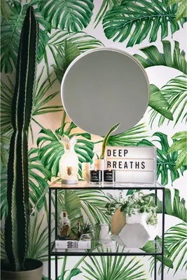 Produktbild von Coloray Fototapete 152x104 cm Latextapete Magicstick - Palmmonstera-Blätter
