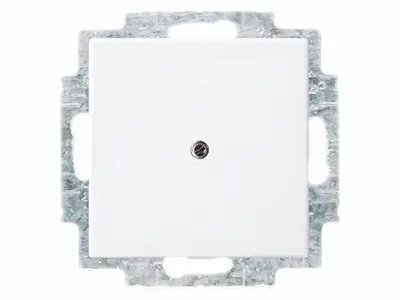Immagine prodotto di BUSCH-JAEGER piastra centrale cieca 2538-914, bianco alpino, bilanciamento-SI