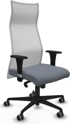 Obrázek produktu pro Bürostuhl Piqueras y Crespo B1C036G Grau