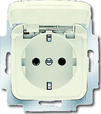 Image de BUSCH-JAEGER Prise 1f cws glz Duro 2000 SI UP Klappd