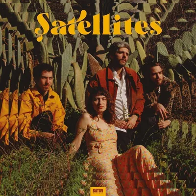 Produktbild von Satellites