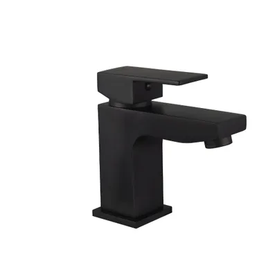 A black faucet is shown against a white background.