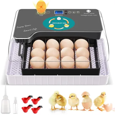 Brutmaschine, automatisch, 11 Eier, Temperaturregelung, Eierwender