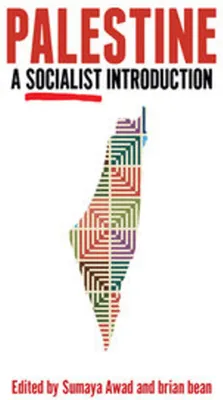 Produktbild von Palestine: A Socialist Introduction