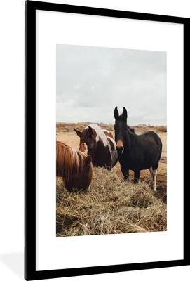 Produktbild von MuchoWow® Gerahmtes Poster Tiere - Pferd 60x90 cm - Poster mit Schwarzem Bilderrahmen Wandposter Rahmen Foto Bilder - Dekoration - Wandposter Wohnzimmer - Hochwertig