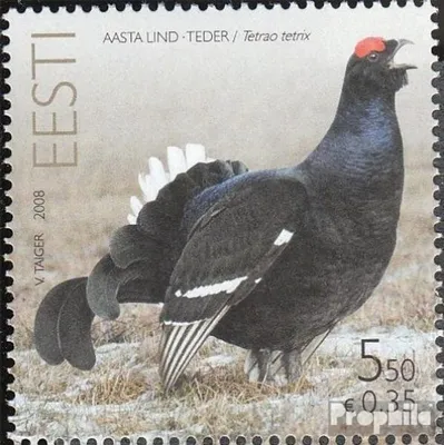 Produktbild von Briefmarken Estland 2008 Mi 614 (kompl.Ausg.) postfrisch Vogel