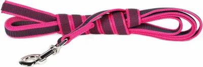 Produktbild von Julius K-9 Gummierte Leine 20 Mm Rosa 20 mm x 3 m Rosa 20 mm x 3 m