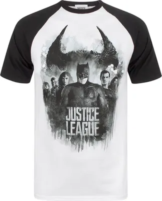 Produktbild von Justice League Herren Charakter Line Up Raglan T-Shirt NS4412 (S) (Bunt)