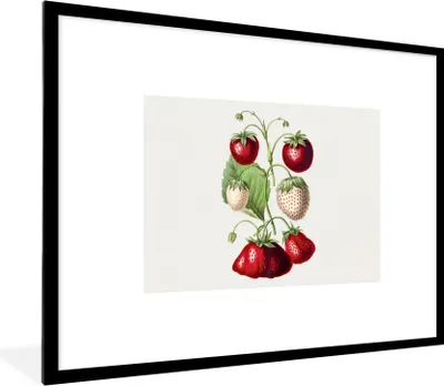 Produktbild von MuchoWow® Gerahmtes Poster Erdbeeren - Pflanze - Lebensmittel 80x60 cm - Poster mit Schwarzem Bilderrahmen Wandposter Rahmen Foto Bilder - Schlafzimmer-Dekorationen - Fotoposter