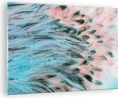 Produktbild von Bilder auf glas - Federn Federn Vogel - 70x50cm - Glasbilder - Wandbilder - Kunstdruck - zum Aufhängen bereit - Wanddekoration aus Glas - Glas Bilder - Wandbild auf Glas - Einteilig - GAA70x50-3742