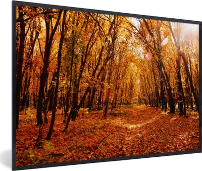 Produktbild von MuchoWow® Gerahmtes Poster Herbst - Wald - Laub - Jahreszeiten 90x60 cm - Poster mit Schwarzem Bilderrahmen Wandposter Rahmen Foto Bilder - Fotorahmen - Foto-Plakat