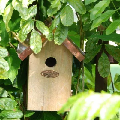 Immagine prodotto di Cassetta nido Esschert Design per cinciarella, con tetto in rame; modello NK06
