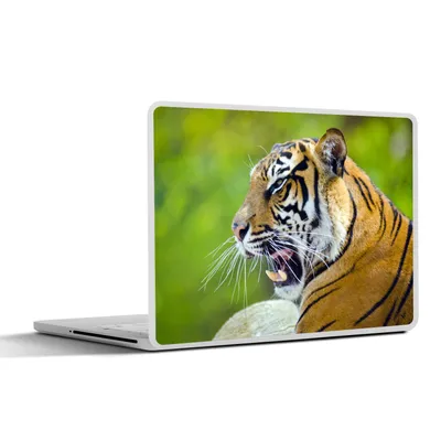Produktbild von MuchoWow® Laptop Aufkleber Sticker Cover Tiger - Natur - Kopf 30x21 cm - Sticker für Laptop - Selbstklebend