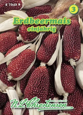 Produktbild von Erdbeermais | Maissamen von N.L. Chrestensen