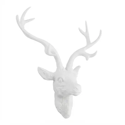 Produktbild von 2.02 Hirschgeweih weiß - 61 cm