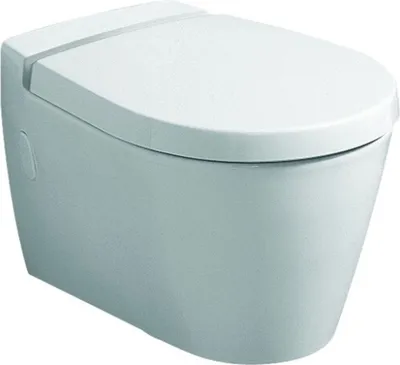 Produktbild von Geberit Visit WC-Sitz, weiß Scharniere verchromt mit Absenkautomatik