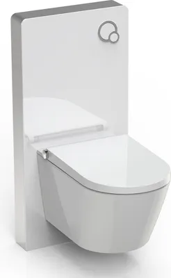 Produktbild von BERNSTEIN WC-Sparpaket 6: DUSCH-WC Basic 1102 mit Gesäß- und Ladydusche & Sanitärmodul 805 in Weiß