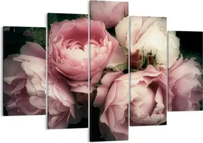 Produktbild von Bild auf Leinwand - Leinwandbild - Pfingstrose Blume - 150x100cm - Wand Bild - Wanddeko - Leinwanddruck - Bilder - Kunstdruck - Wanddekoration - Leinwand bilder - Wandkunst - EA150x100-3930