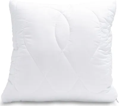 Obrázok produktu pre Vankúš Aloe Vera 40x40cm 250g so zipsom