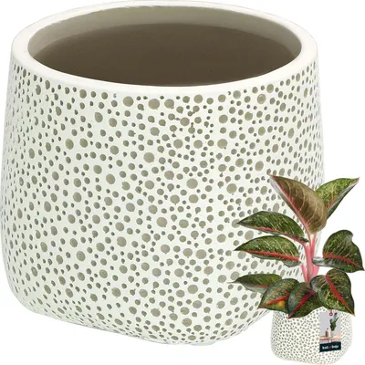 Zdjęcie produktu dla KOTARBAU® Doniczka ceramiczna nieszkliwiona matowe wykończenie szara bulwiasta ⌀ 12,5 cm | H 12,5 cm 1 szt. Doniczki do kwiatów Doniczki do roślin doniczkowe ceramiczne duże doniczki ceramiczne nowoczesne