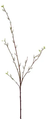 Produktbild von künstlicher Weidenkätzchenzweig weiß H. 95cm Emerald Kunstblumen