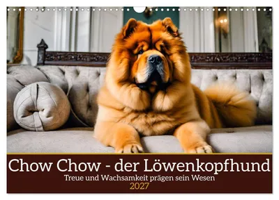 Produktbild von Chow Chow - der Löwenkopfhund (Wandkalender 2027 DIN A3 quer), CALVENDO Monatskalender