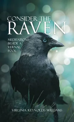 Produktbild von Erwägen Sie "The Raven"