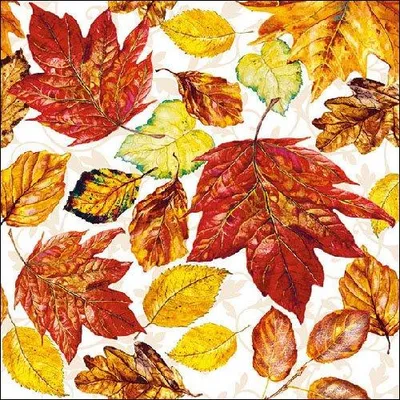 Productafbeelding van 20 servetten met herfstmotieven, afmeting 33x33 cm