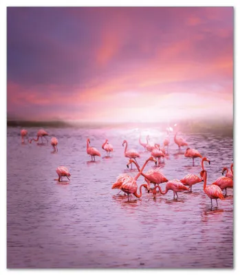 Produktbild von Wallario Herdabdeckplatte aus Glas, Größe 52 x 60 cm 1-teilig, Motiv Rosa Flamingos bei Sonnenuntergang
