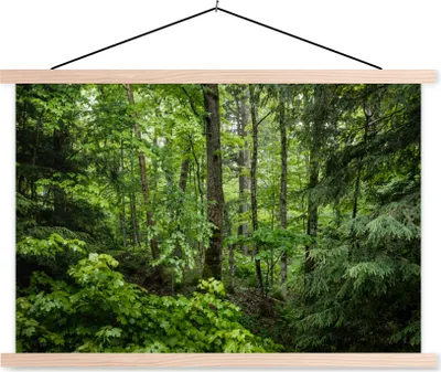 Produktbild von MuchoWow® Textilposter Wald - Baum - Grün 60x40 cm mit holzfarbenen Rahmen - Bilder