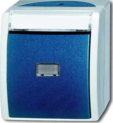 Immagine prodotto di Pulsante Busch-Jaeger 2621 WN-53-201 2CKA001484A0373