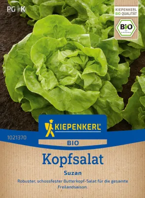 Produktbild von Kiepenkerl Kopfsalatsamen Suzan Lactuca sativa 150 Pflanzen