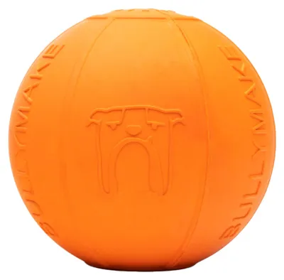 Image de BULLYMAKE : Ballon de plage ballistique, jouet en caoutchouc pour chiens - Contient des friandises
