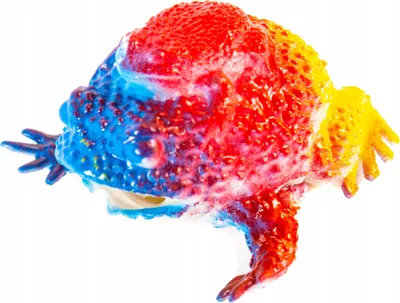 Produktbild von Antistress Frosch Quetschball Bunt - Lustiges Knautschtier Spielzeug für Stressabbau & Spaß