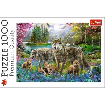 Image de Trefl 10558 puzzle Puzzle 1000 pièces Autre