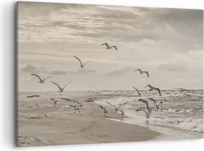 Produktbild von Bild auf Leinwand - Leinwandbild - Einteilig - Möwen Küste Boho - 120x80cm - Wand Bild - Wanddeko - Wandbilder - Leinwanddruck - Bilder - Wanddekoration - Leinwand bilder - Wandbild - AA120x80-4723