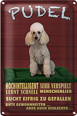 Produktbild von Blechschild Spruch 18x12cm Pudel hochintelligent lieb Hund